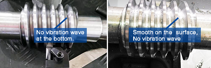 xc sports(中国区)-官方网站