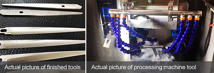 xc sports(中国区)-官方网站