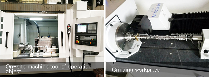 xc sports(中国区)-官方网站